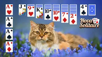 Game screenshot Classic Solitaire : Card Game mod apk