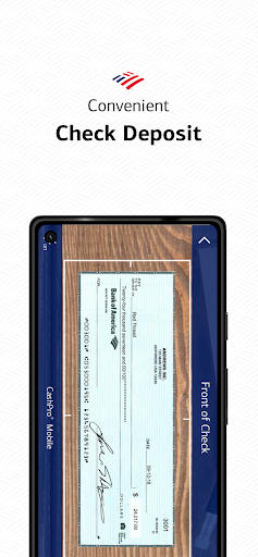 Screenshot of CashPro