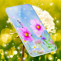 Download Live Wallpaper for Samsung 6.9.70 Apk for android