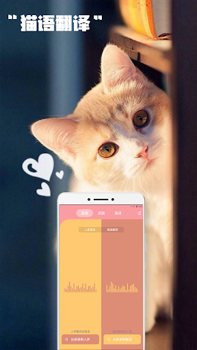 Android application 人猫交流器 -人猫翻譯，猫語翻譯 screenshort