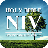 Audio Bible NIV Free icon