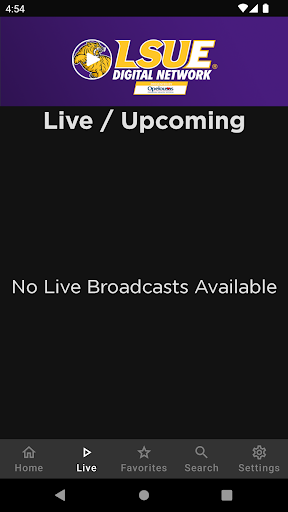 LSUE Digital Network Screen 2