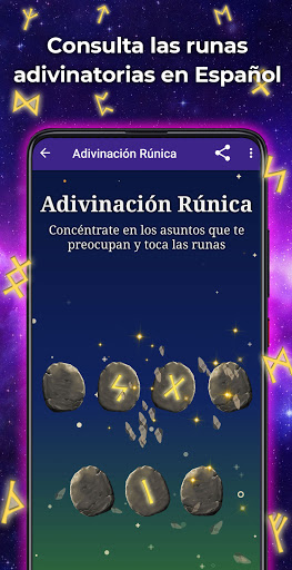 Vista previa de la aplicación
