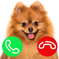 Video Call From Dog-Puppy Game