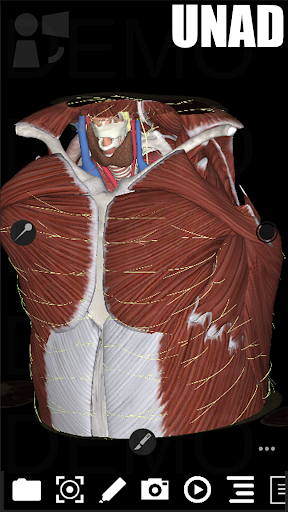 Android application 3Dissect Thorax UNAD screenshort