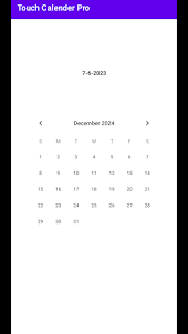Touch Calendar Pro - Date