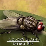 Colony Clash : Merge Fly icon