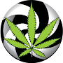 420Portal: Cannabis, Marijuana, Weed: Dispensaries