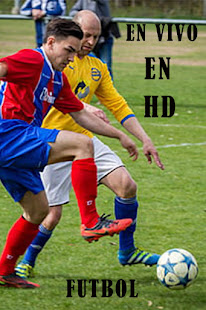 Futbol Libre Tv y Partidos gratis On Line Guide 1.9 APK screenshots 8