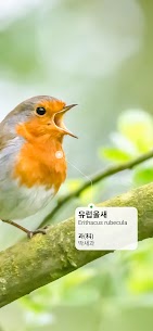 Picture Bird – 조류 식별 (프리미엄) 2.9.25 2