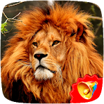 Cover Image of Tải xuống Lion Sounds  APK