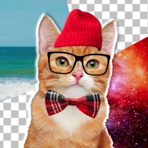 Cat Photo Editor