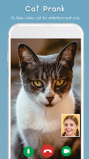 Cat Video Call Prank- Cat Game Screen 3