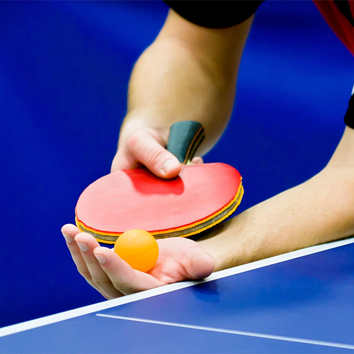 Pingpong Pro Tricks Tutorial logo
