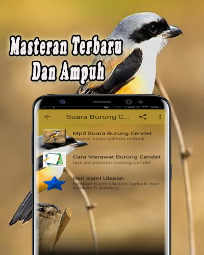 Cendet Gacor MP3 Offline Screenshot 2 - AppWisp.com