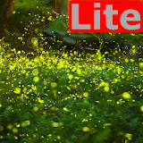 Fireflies Lite Live Wallpaper icon