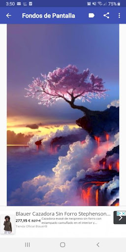 Fondo de Pantalla Naturaleza