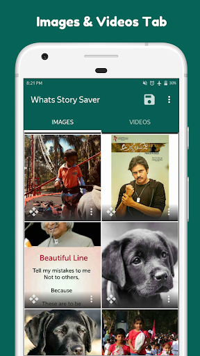 Whats Story Saver Screen 2