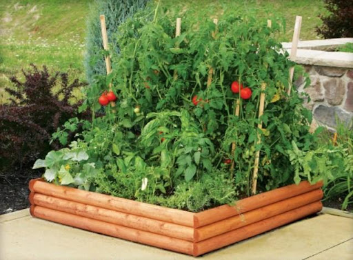 Smart Vegetable Garden