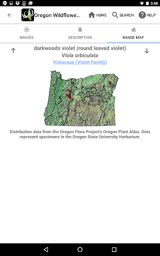 Screenshot of Oregon Wildflowers