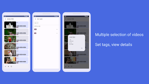 Tag Player Screen 2