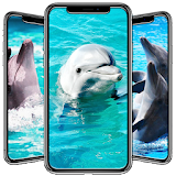 Dolphin Wallpaper icon