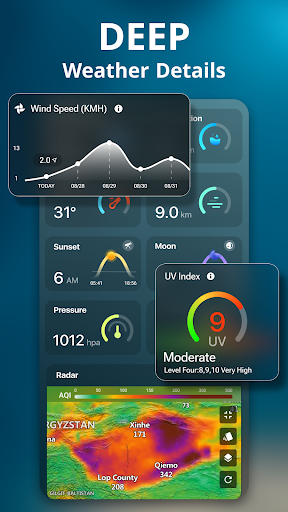 Screenshot of Weather Live