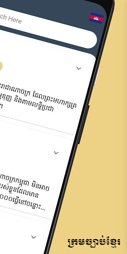 Cambodia Constitution Screen 2