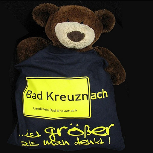 Bad Kreuznach meinestadt logo