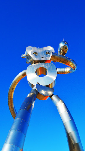 Android application robot wallpaper screenshort