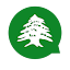 Meet Lebanese - Chat Lebanon