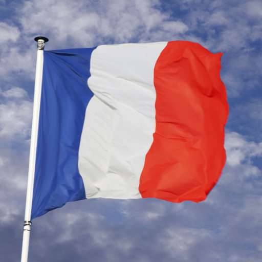 France flag logo