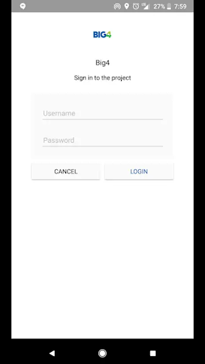 BIG4 Business Owner Insights Screen 2