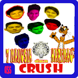 7 Manusia dan Harimau Crush icon