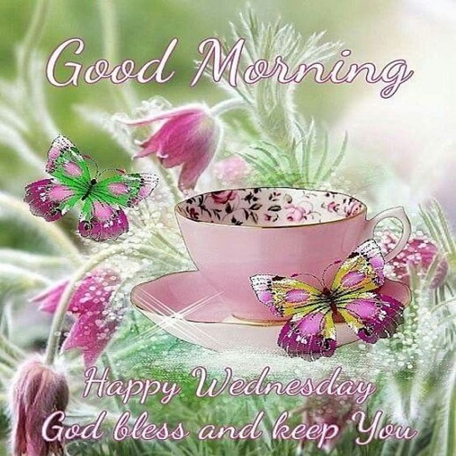 Cards Good morning Screen 2