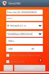 VPN Over DNS  Tunnel : SlowDNS 2.6.6 screenshots 1