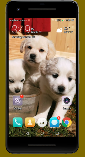 Cute Puppies Video Wallpapers Screen 3