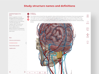 Anatomy & Physiology