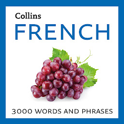 Icon image Learn French: 3000 essential words and phrases