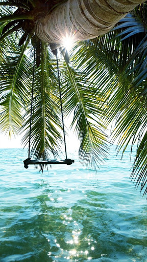 Android application Summer Wallpapers screenshort