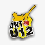 JNT Under-12 Cricket icon