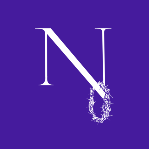 Nui Brothers logo