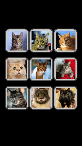 Звуки кошек: мурчание, мяу кот Screen 3