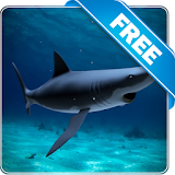 Shark attack lwp Free icon