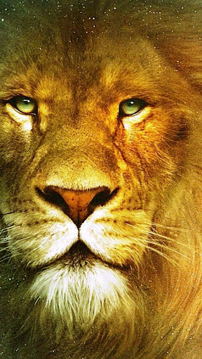 Lion Wallpapers Screen 3