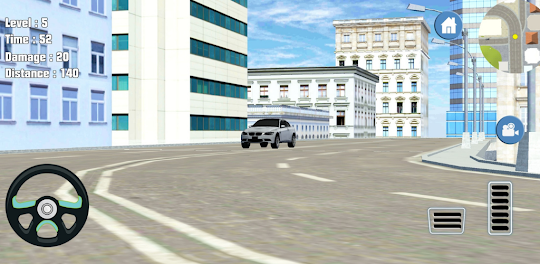 Estacionamento Simulador