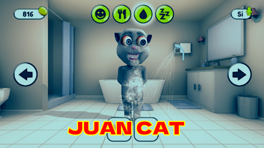 Talking Juan: My Juan Cat
