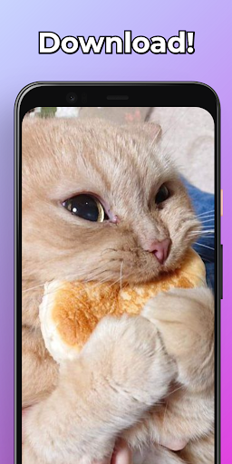 Funny Memes Wallpapers HD Screenshot 3 - AppWisp.com