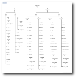 miMind - Easy Mind Mapping Screenshot