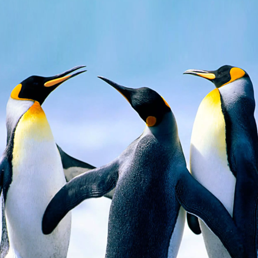 The Penguin logo